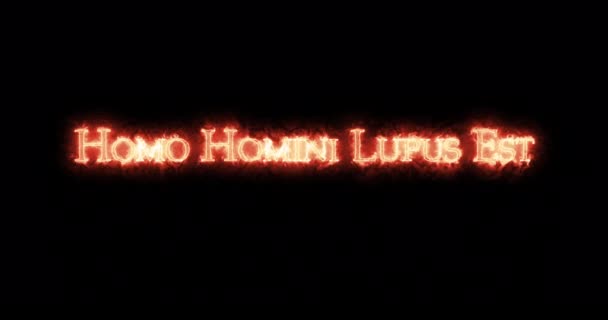 Homo Homini Lupus Est Written Fire — 图库视频影像