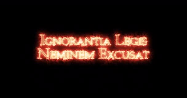 Ignorantia Legis Neminem Excusat Written Fire Loop — Stock Video