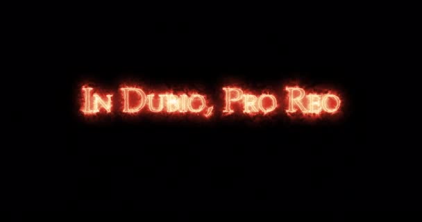 Dubio Pro Reo Written Fire Loop — Stock Video