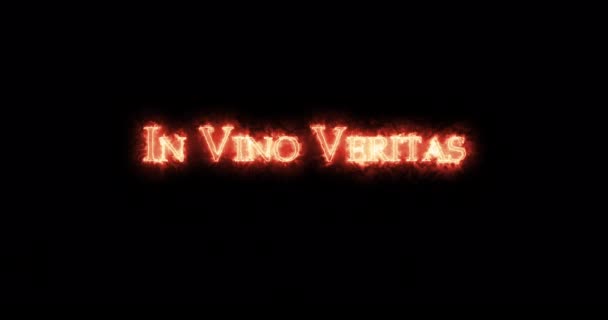 Vino Veritas Written Fire Smyčka — Stock video