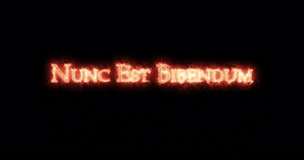 Nunc Est Bibendum Written Fire Smyčka — Stock video