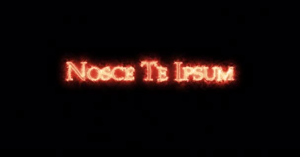 Нойс Ipsum Написаний Вогнем Петлі — стокове відео