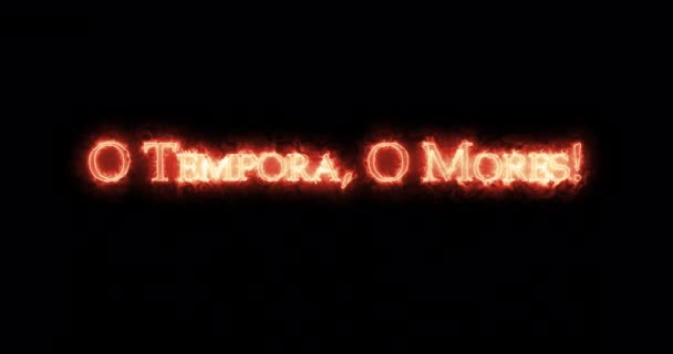Tempora Mores Mit Feuer Geschrieben Schleife — Stockvideo