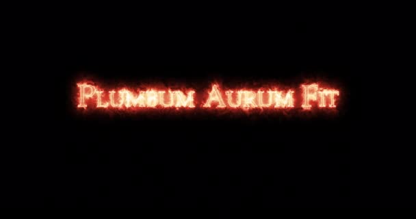 Plumbum Aurum Fit Written Fire Loop — Stock Video