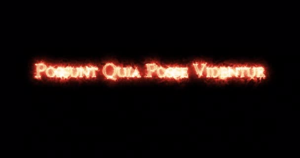 Possunt Quia Posse Videntur Scritto Con Fuoco Ciclo — Video Stock