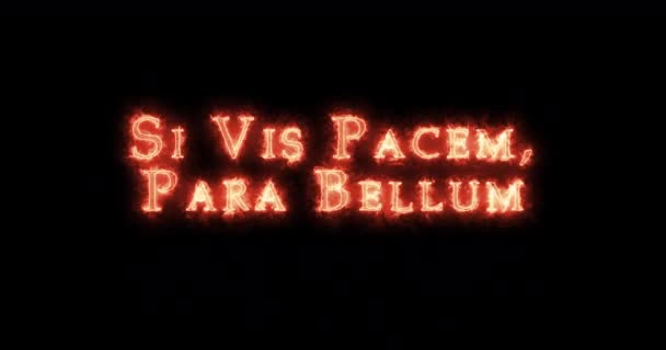 Vis Pacem Para Bellum Написан Огнем Петля — стоковое видео