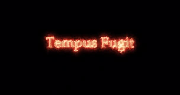 Tempus Fugit Γράφτηκε Φωτιά Βρόχος — Αρχείο Βίντεο