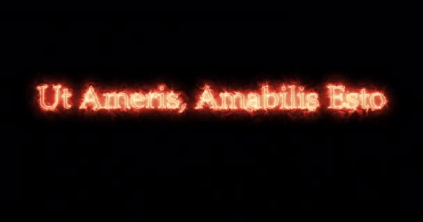 Ameris Amabilis Esto Skriven Med Eld Ögla — Stockvideo