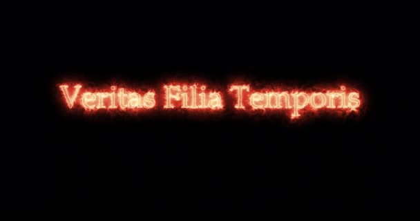 ヴェリタス フィリア テンポラリーは火で書かれる ループ — ストック動画