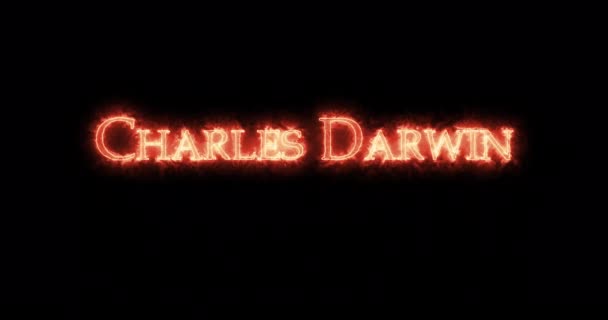 查尔斯达尔文用火写的环路 — 图库视频影像