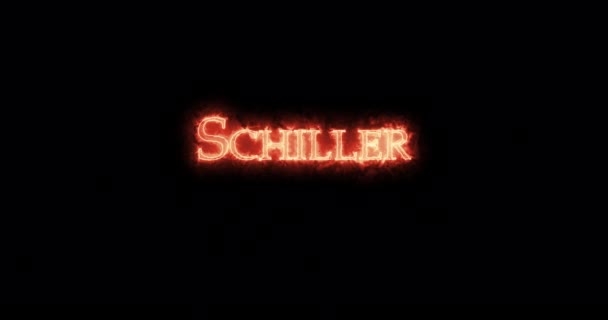 Schiller Escribió Con Fuego Paquete — Vídeo de stock