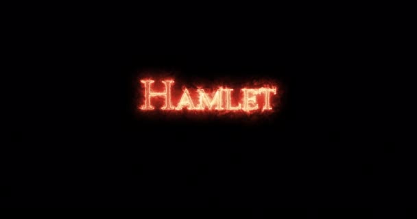 Hamlet Tűzzel Írva Hurok — Stock videók