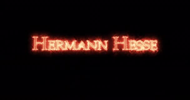 Hermann Hesse Escribió Con Fuego Paquete — Vídeo de stock