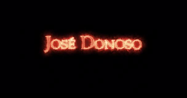 Jose Donoso Written Fire Loop — Stock Video