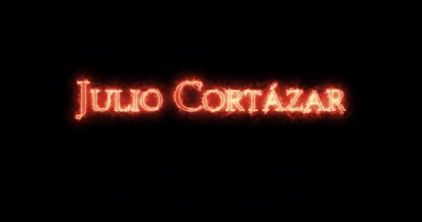 Julio Cortazar Geschreven Met Vuur Lijn — Stockvideo