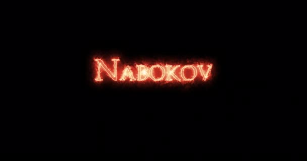 Nabokov Ateşle Yazılmış Döngü — Stok video