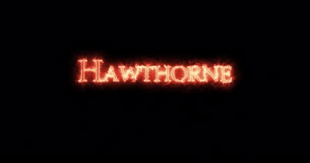 Nathaniel Hawthorne Written Fire Loop — Stock Video