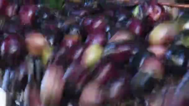 Olive Funzione Frantoio Industriale — Video Stock