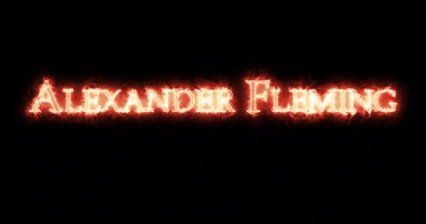 Alexander Fleming Written Fire Loop — Stock Video