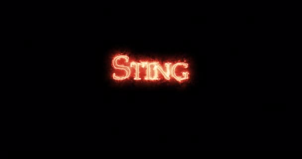 Sting Escrito Con Fuego Bucle — Vídeo de stock