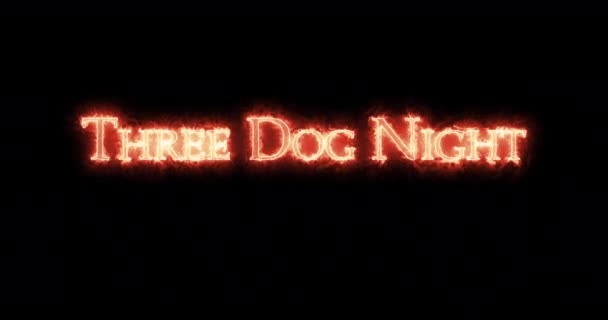 Три Собачі Ночі Написані Вогнем Петля — стокове відео