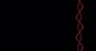 Siyah arka planda dönen DNA zincirinin görüntüsü. Döngü