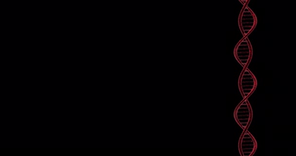 黒の背景にDnaの糖鎖のビュー ループ — ストック動画