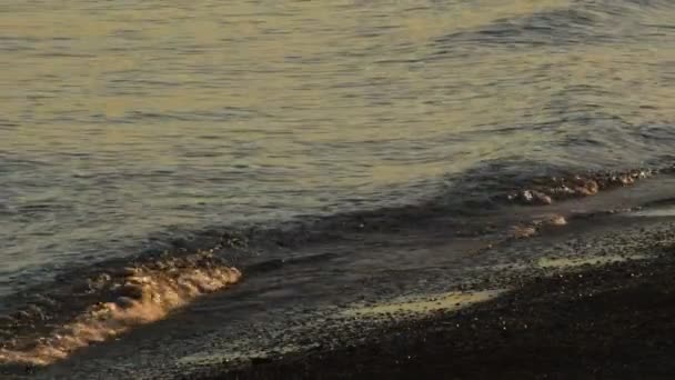 Små Vågor Anländer Stranden Vid Solnedgången — Stockvideo