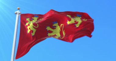 Fransa 'nın Yeni Akitanya bölgesinde Dordogne Departmanı bayrağı. Döngü