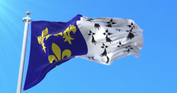 法国布列斯特市的旗帜 — 图库视频影像