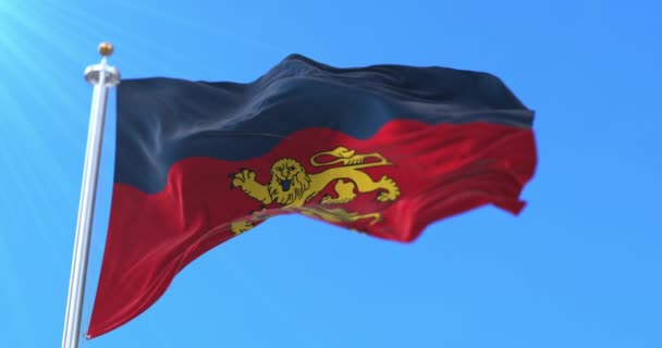 Drapeau Département Calvados Région Normandie France Boucle — Video