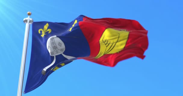 Flagga För Departementet Charente Maritime Regionen Nouvelle Aquitaine Frankrike Ögla — Stockvideo