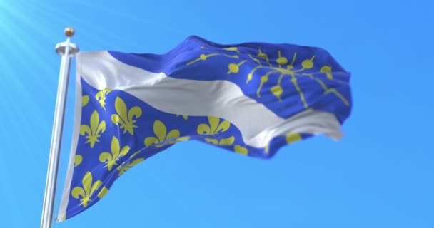 Flagga För Departementet Essonne Regionen Ile France Frankrike Ögla — Stockvideo