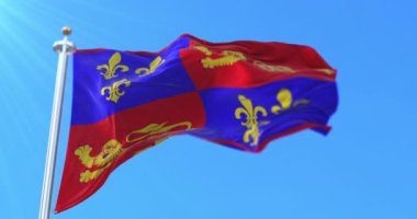 Fransa 'nın Nouvelle-Aquitaine şehrinde Landes Departmanı bayrağı. Döngü