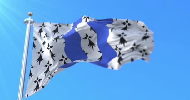 Drapeau Département Ille Vilaine Région Bretagne France Boucle — Video