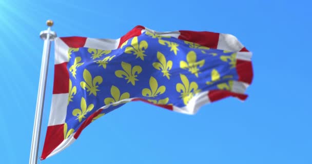 Vlag Van Het Departement Indre Loire Regio Centre Val Loire — Stockvideo