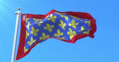 Fransa 'nın Pays de la Loire bölgesinde Sarthe Departmanı bayrağı. Döngü