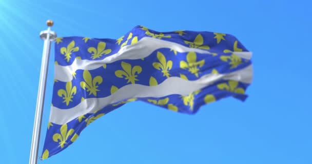 Flagga För Departementet Seine Marne Regionen France Frankrike Ögla — Stockvideo