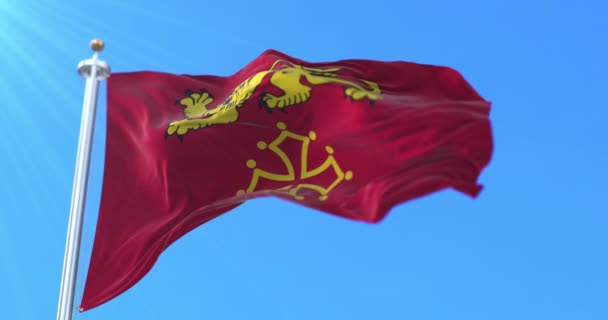 Bandera Del Departamento Tarn Garonne Región Occitanie Francia Bucle — Vídeo de stock