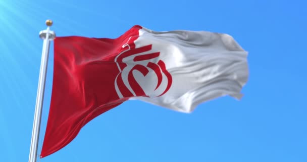 Bandera Del Departamento Vendee Región Pays Loire Francia Bucle — Vídeos de Stock