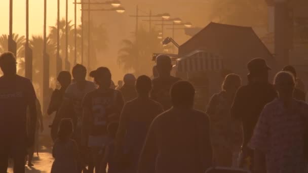 Orang Banyak Musim Panas Berjalan Sebuah Pantai Saat Matahari Terbenam — Stok Video