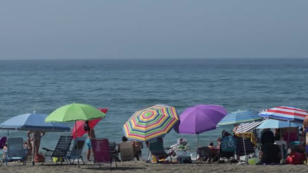 夏天的早晨 海滩上的彩色雨伞 — 图库视频影像