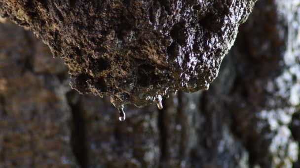 Wassertropfen Gleiten Durch Einen Felsen Einer Höhle — Stockvideo