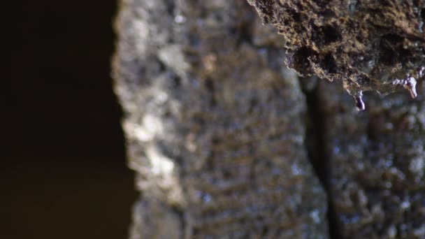 Water Drops Sliding Rock Aquatic Gallery — Stock Video