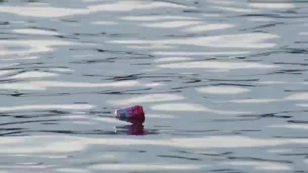 Sodakanne Schwimmt Der Ruhigen See — Stockvideo