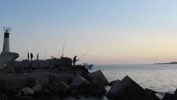 Fiskare Som Fiskar Hamn Vid Solnedgången — Stockvideo