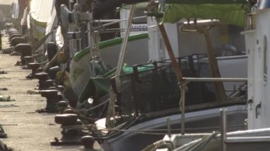 Balıkçı gemileri limana demir attı