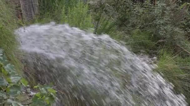 Stream Water Emerging Mountain Rock Spring — Stock Video