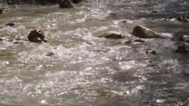 Gün batımında akan taşlarla nehir yatağı ve saf dağ suyu.