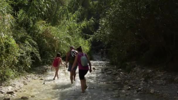 Οικογένεια Πεζοπόρων Εκδρομή Περπατώντας Κατά Μήκος Της Κοίτης Ενός Ποταμού — Αρχείο Βίντεο